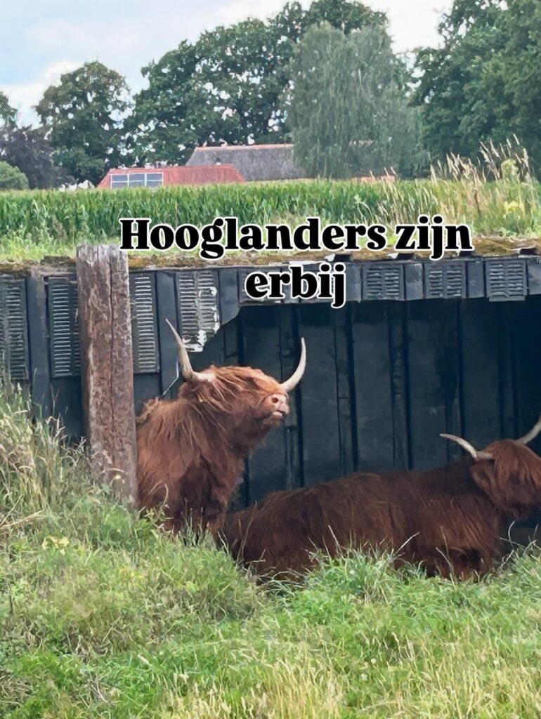 E44ADE9D D881 4345 AAF9 D28BCE9131A5